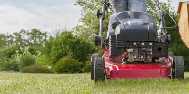 Petrol Scarifiers